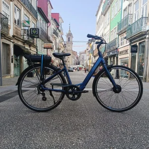 Giant Ease E+
