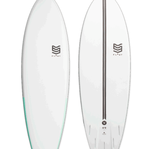 Flowt Magnet Fish