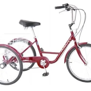 Triciclo Amat 24″