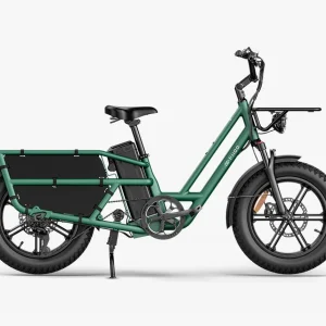 Fiido T2 Longtail