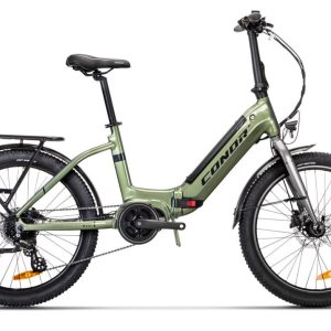 Conor Maui 24″