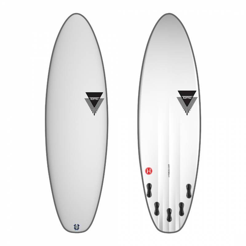 Hydroshort Squash - Image 2